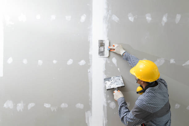 Best Fire-Damaged Drywall Repair  in Fairchance, PA